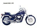 Kawasaki-VN800-1995.jpg